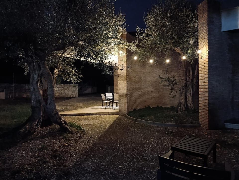 Night, Garden, Garden