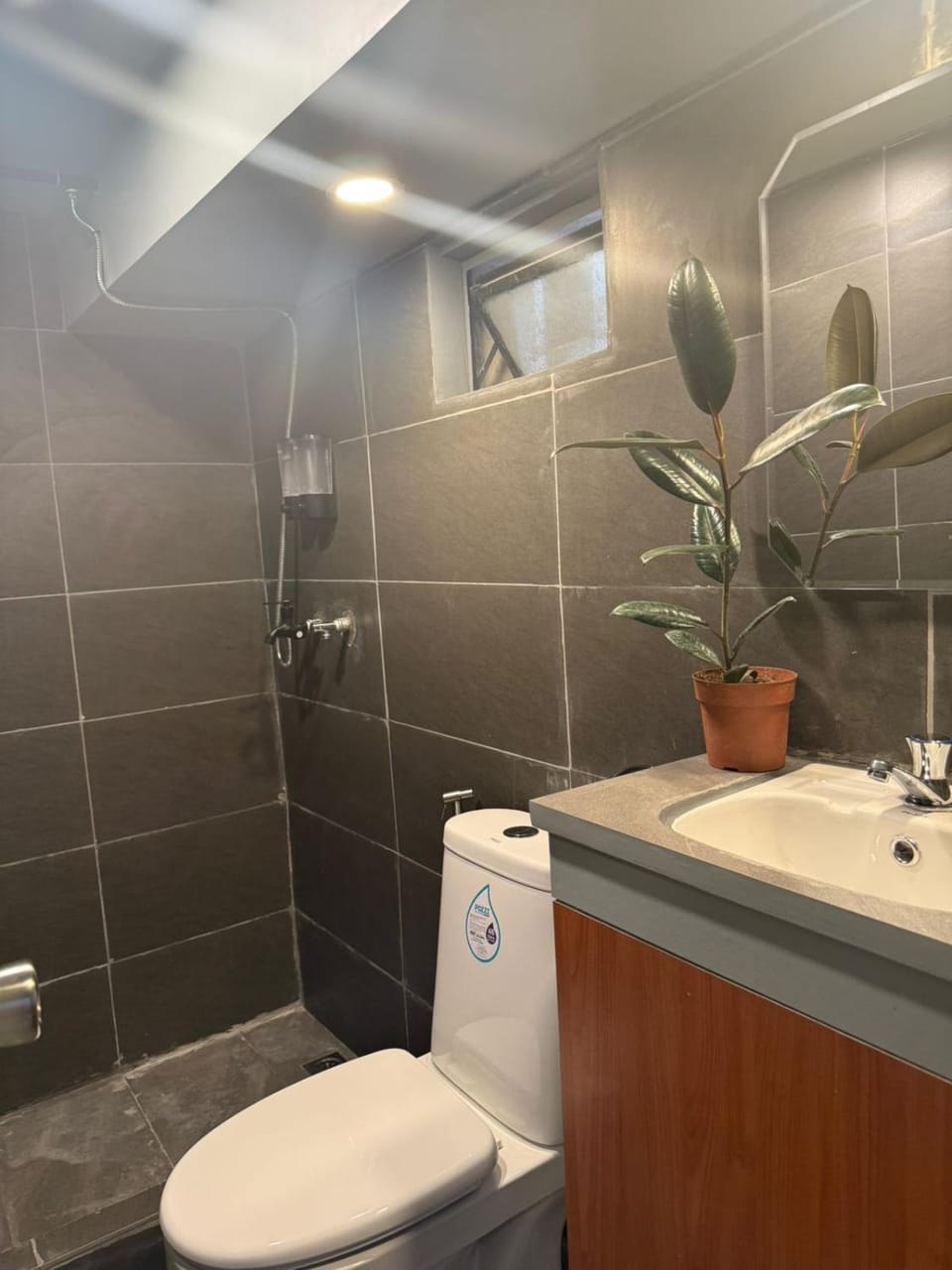 Shower, Toilet, Bathroom