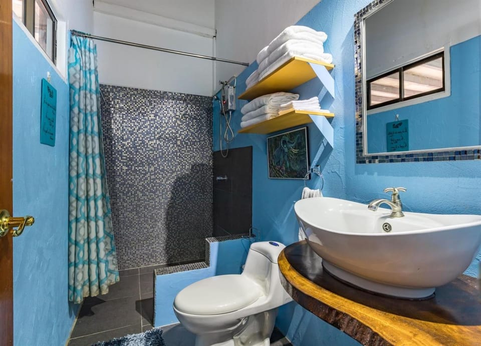 Shower, Toilet, Bathroom, towels
