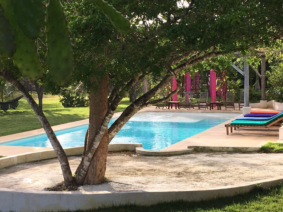 Swimming pool