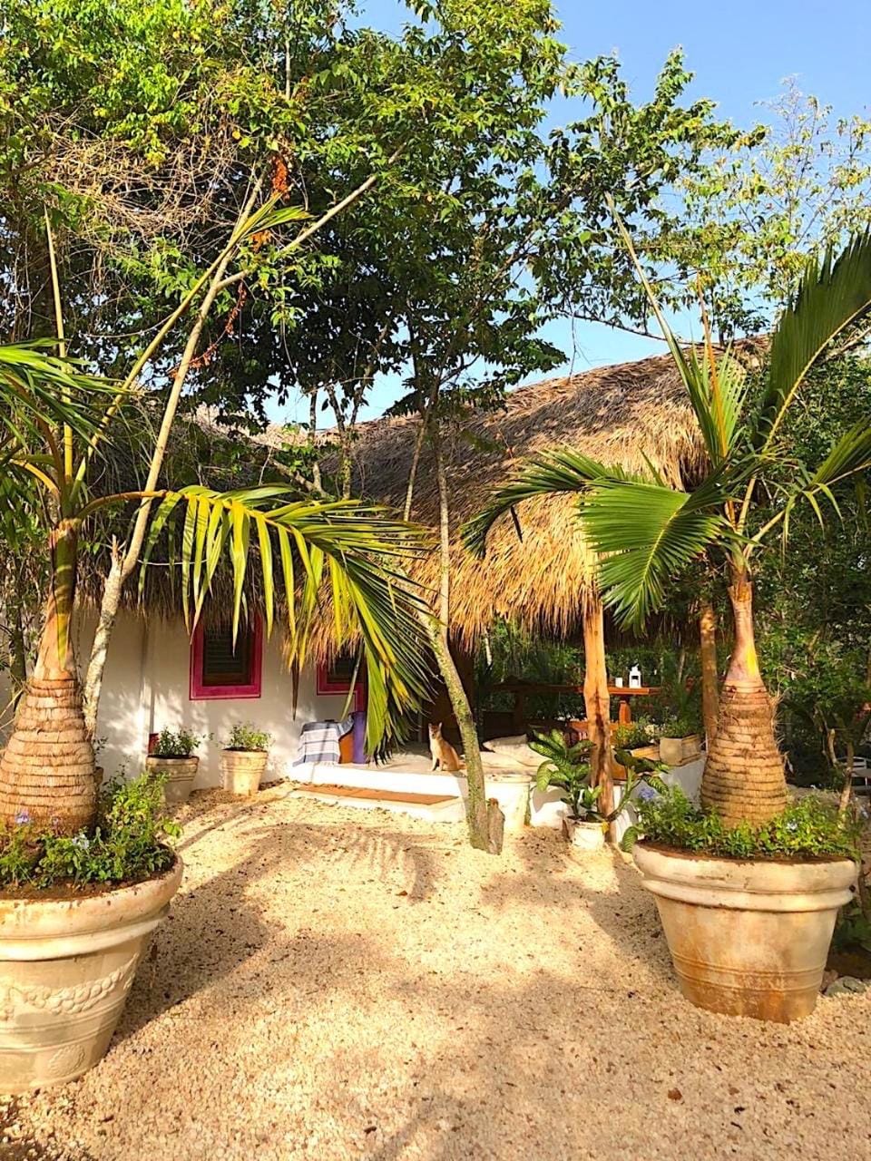 Garden view