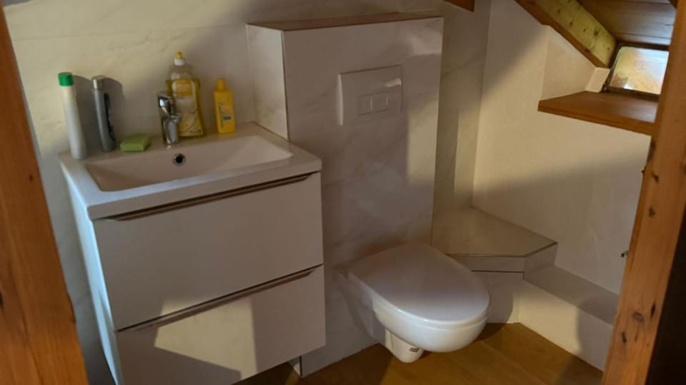 House with garden in the city center Vacation rental in Geneva