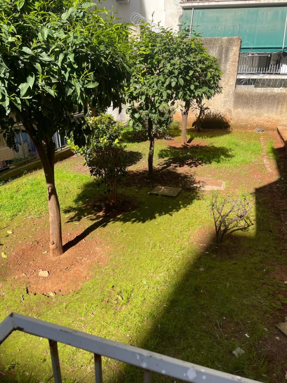 Natural landscape, Garden, Garden view