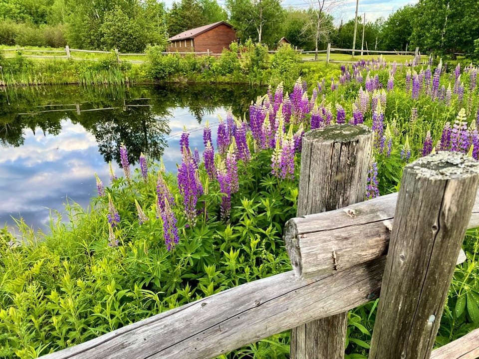 Spring, Natural landscape, Landmark view