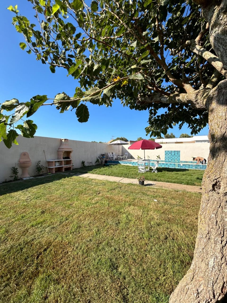 Villa with pool near the beach-Kerkouen Villa in Tunisia