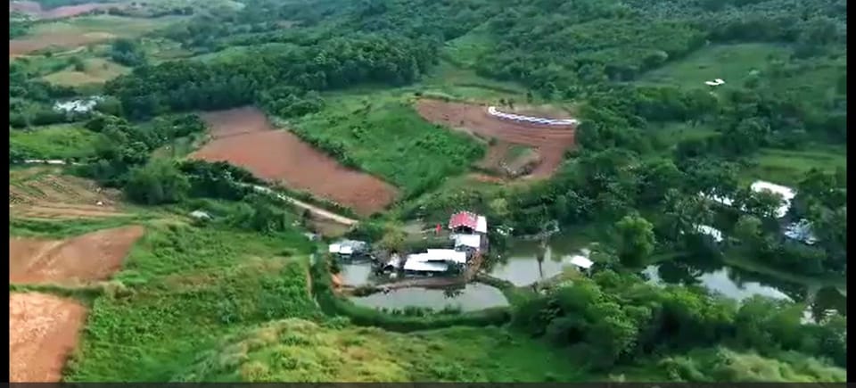 Neighbourhood, Bird's eye view