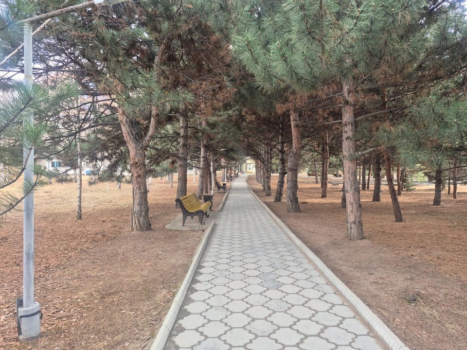 Garden, Garden