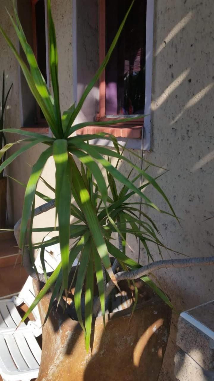 Texas Guesthouse Bed and Breakfast in South Africa