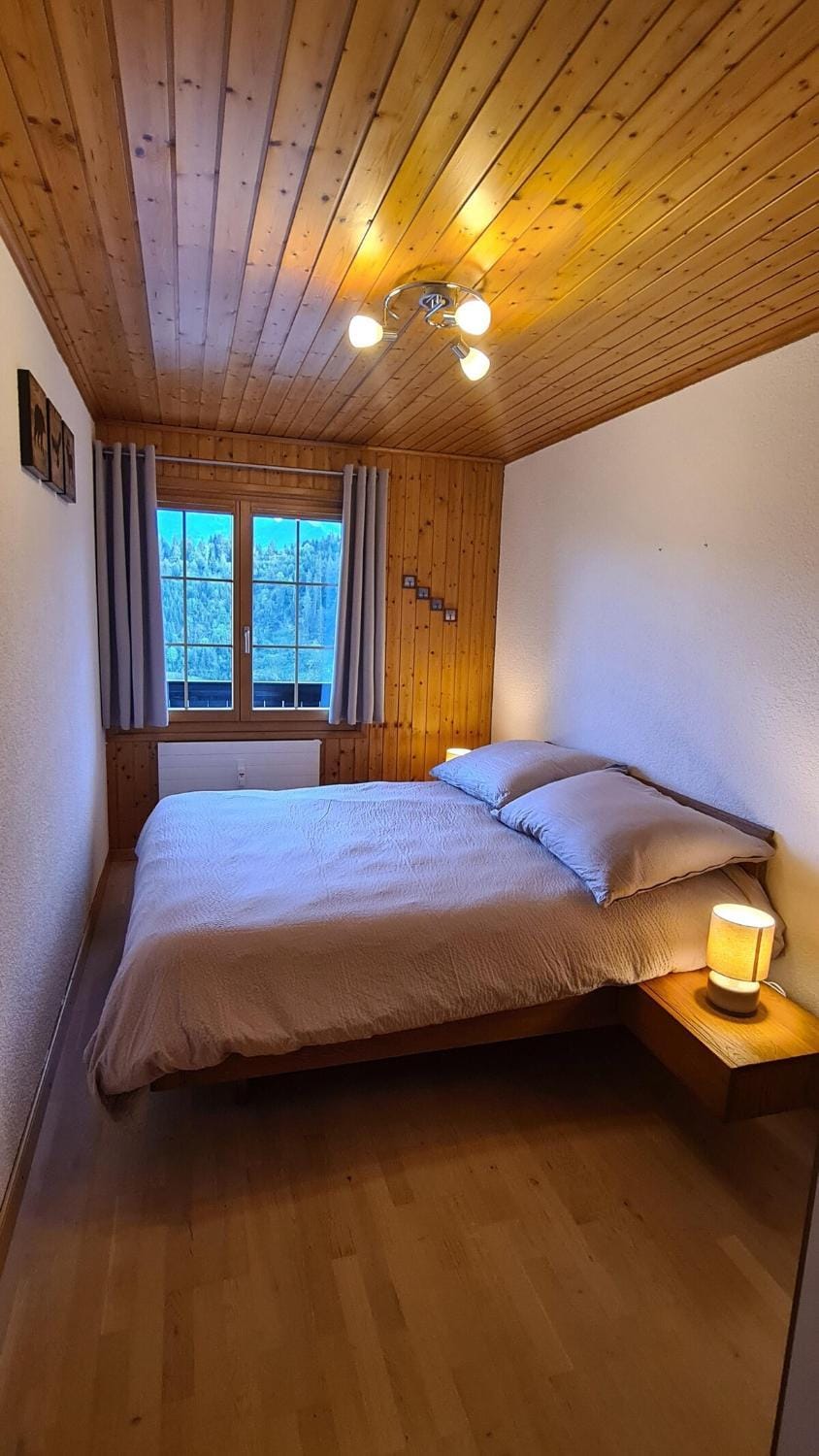 Oeillet 4 Apartment in Châtel
