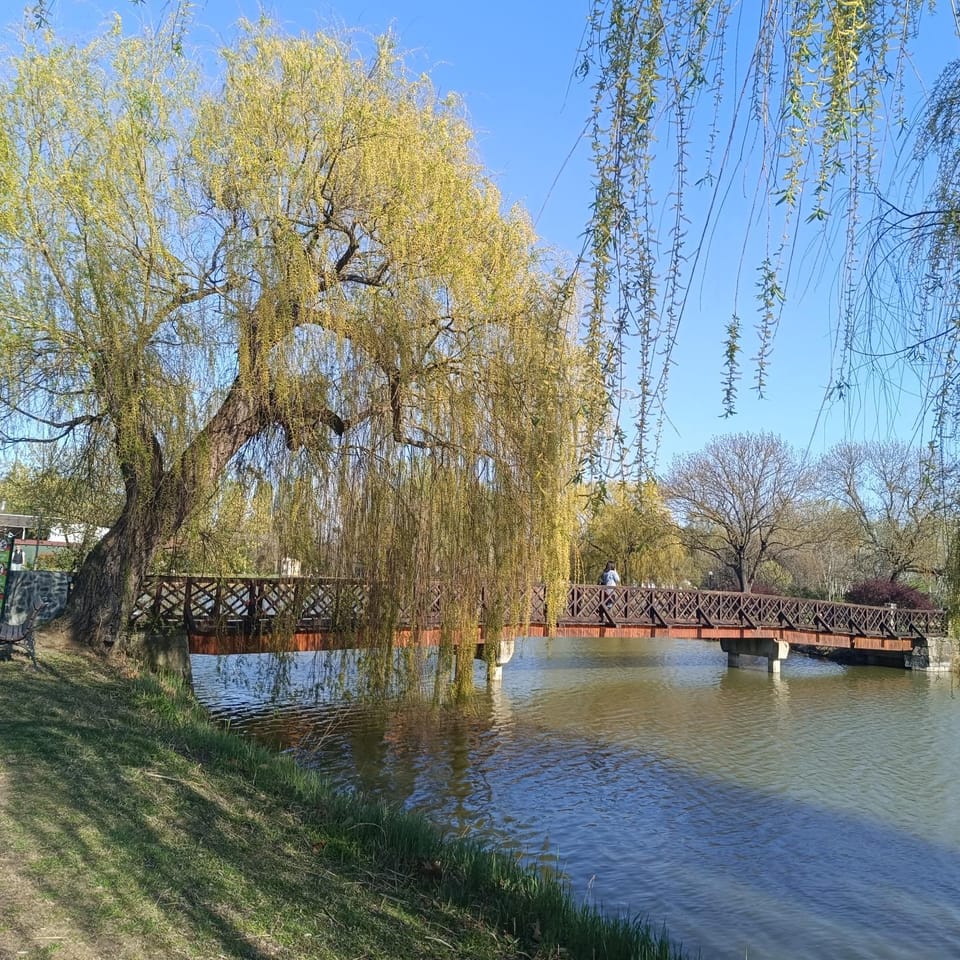 Nearby landmark