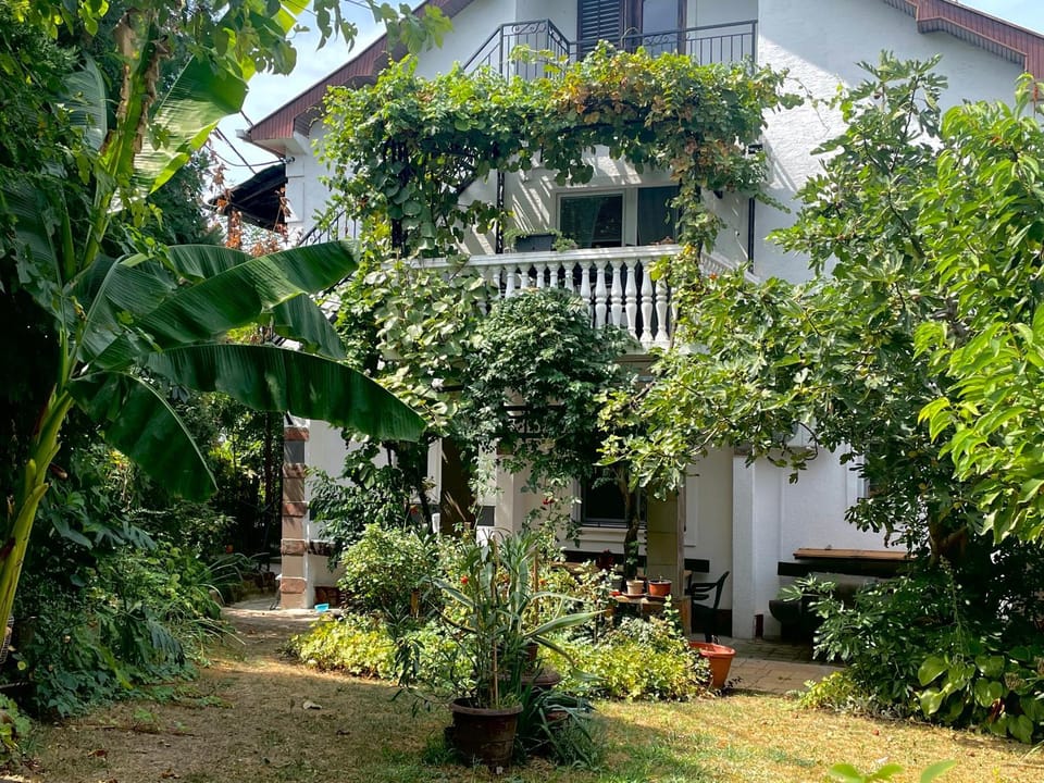 Apartment Jancic Apartment in Vojvodina