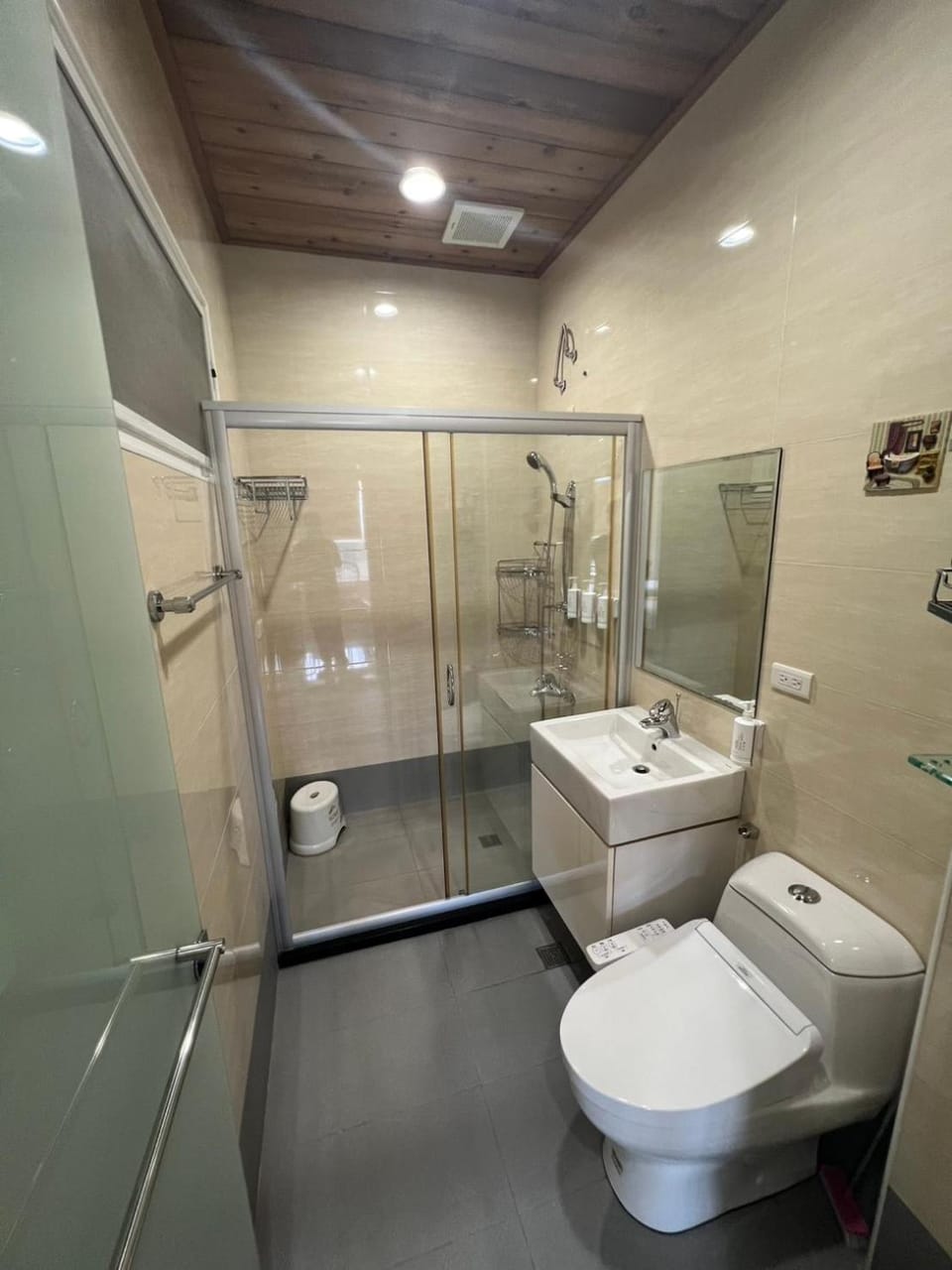 Shower, Toilet, Bathroom, bidet