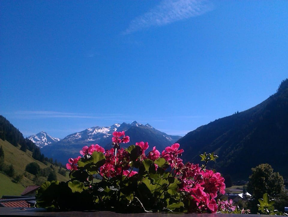 Lindenhof**, Pension Bed and Breakfast in Salzburgerland