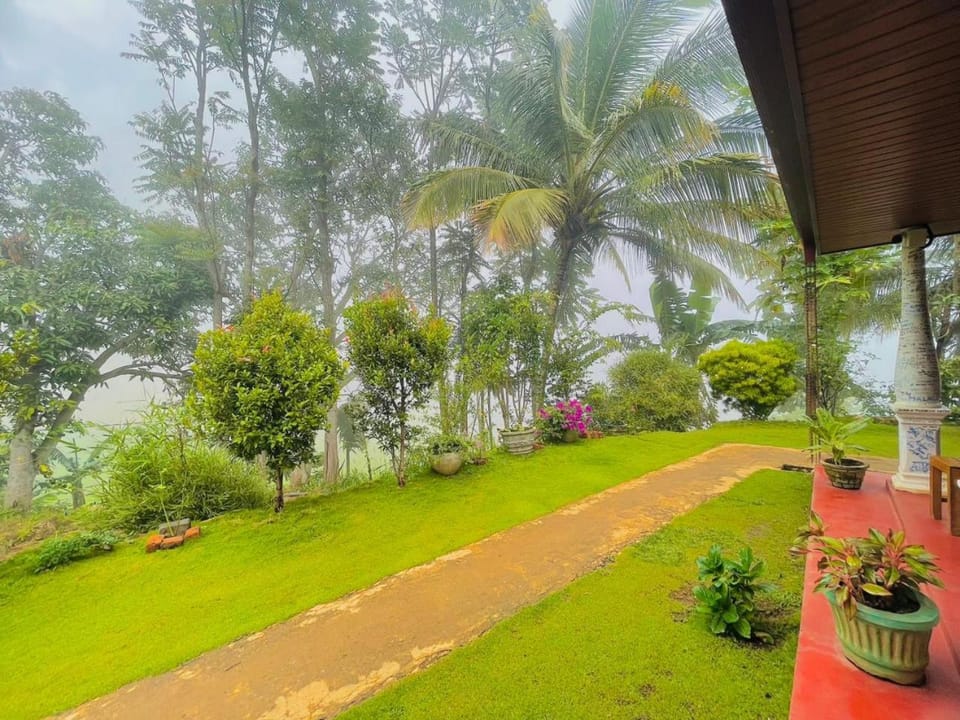 Natural landscape, Garden view