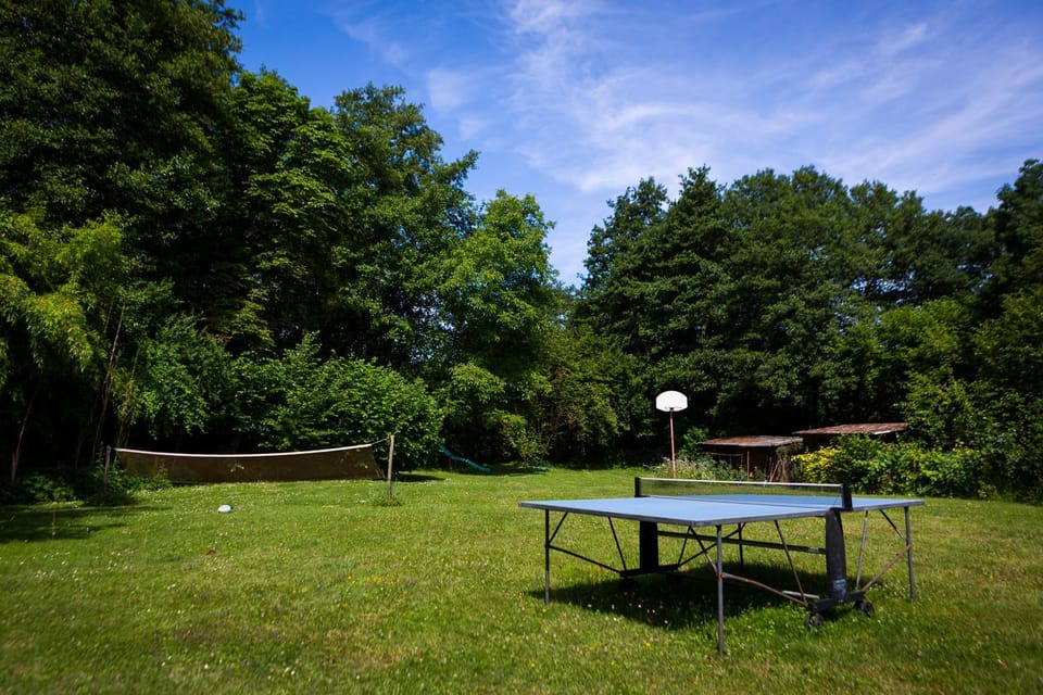 Garden, Table tennis, Garden view, Sports