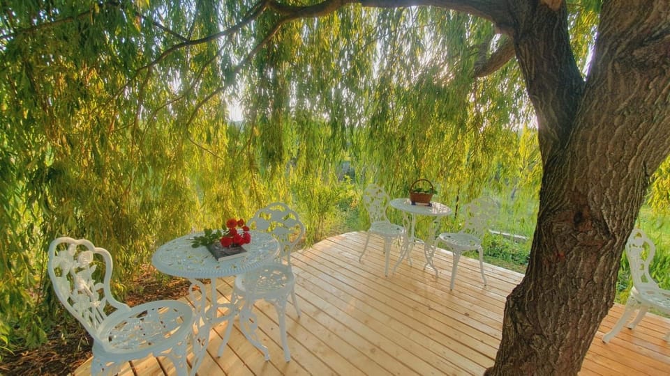 Casa de vacanta Madalina Bed and Breakfast in Romania