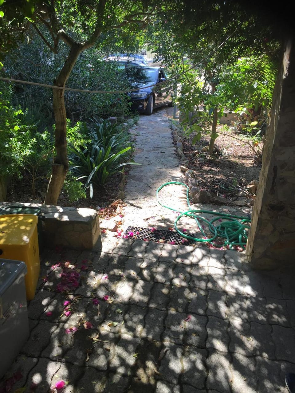 Day, Garden, Garden