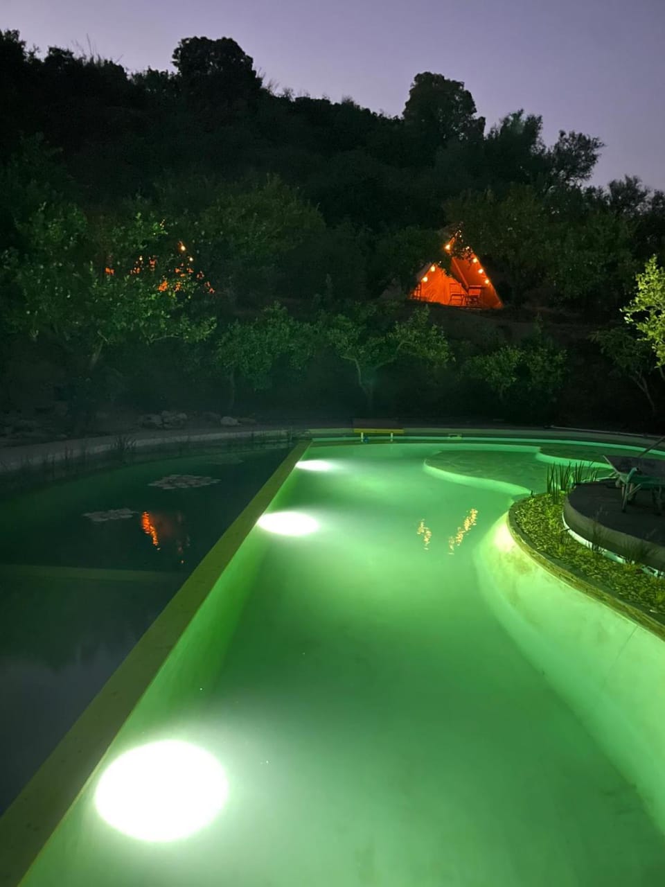 Night, Garden view