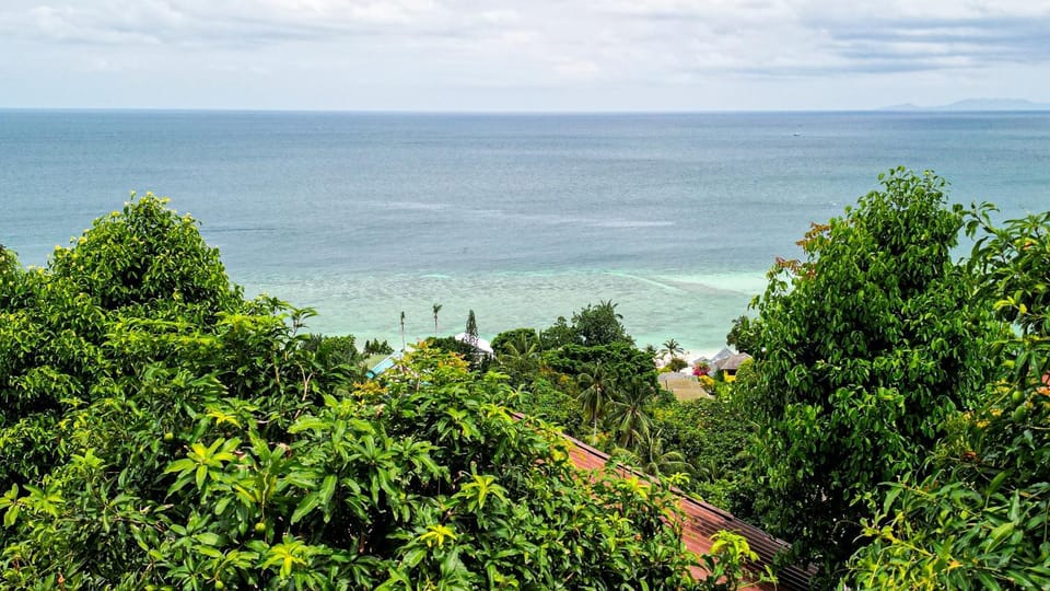 View (from property/room)