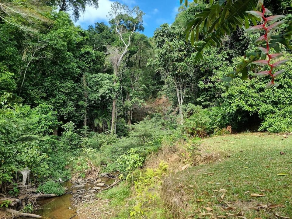 Where The Forest Meets The Sea House in Cape Tribulation