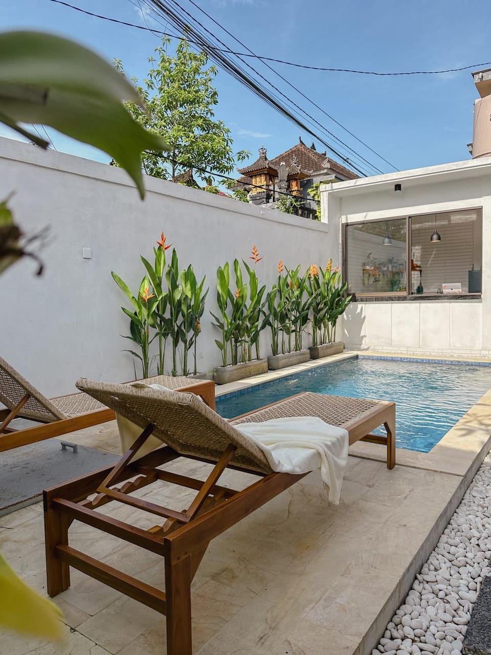 Garden, Swimming pool