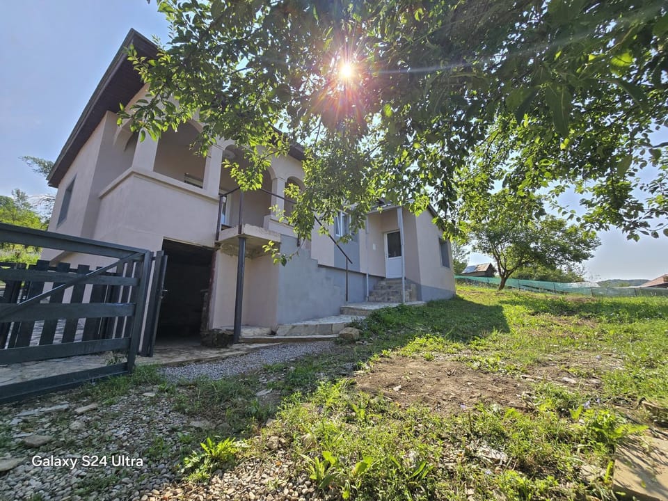 Property building, Day, Garden