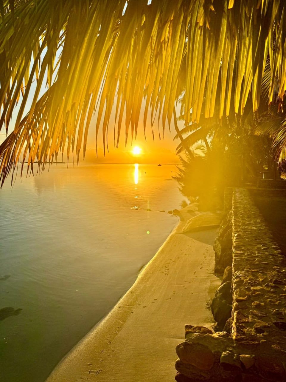 GAIA BEACH AND LAGOON - At Tiahura place House in Moorea-Maiao