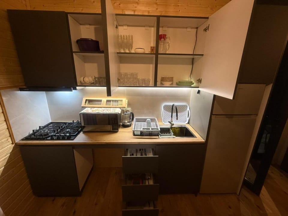 Coffee/tea facilities, Kitchen or kitchenette, minibar, oven, pet friendly, stove, toaster