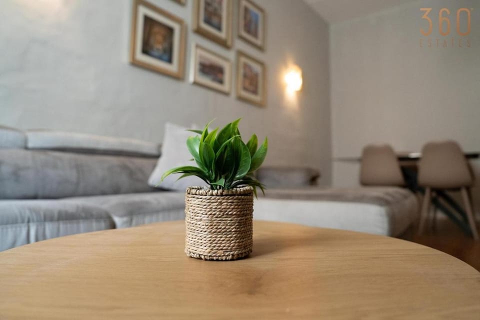 Bed, Living room, Photo of the whole room, Seating area, Bedroom