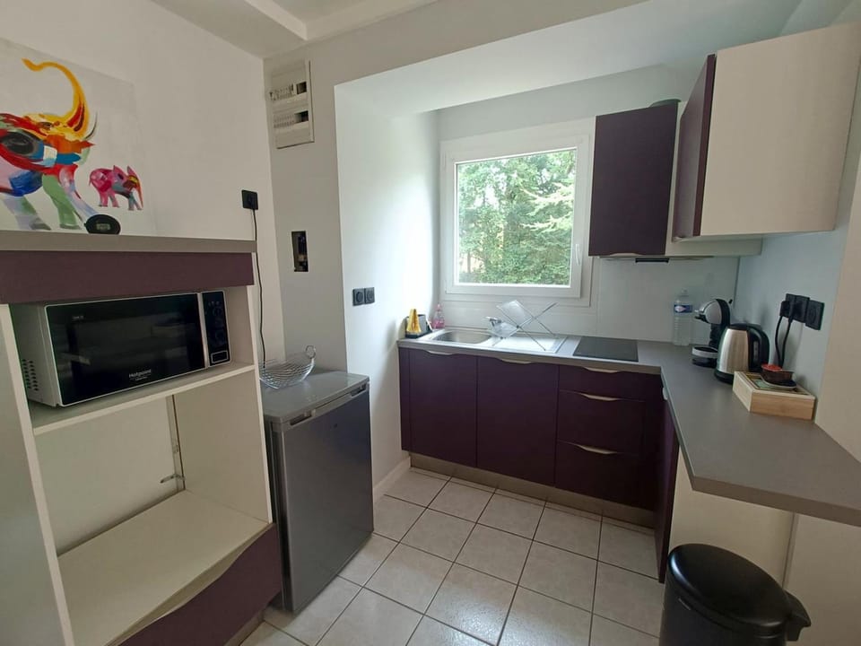 Kitchen or kitchenette, microwave, stove