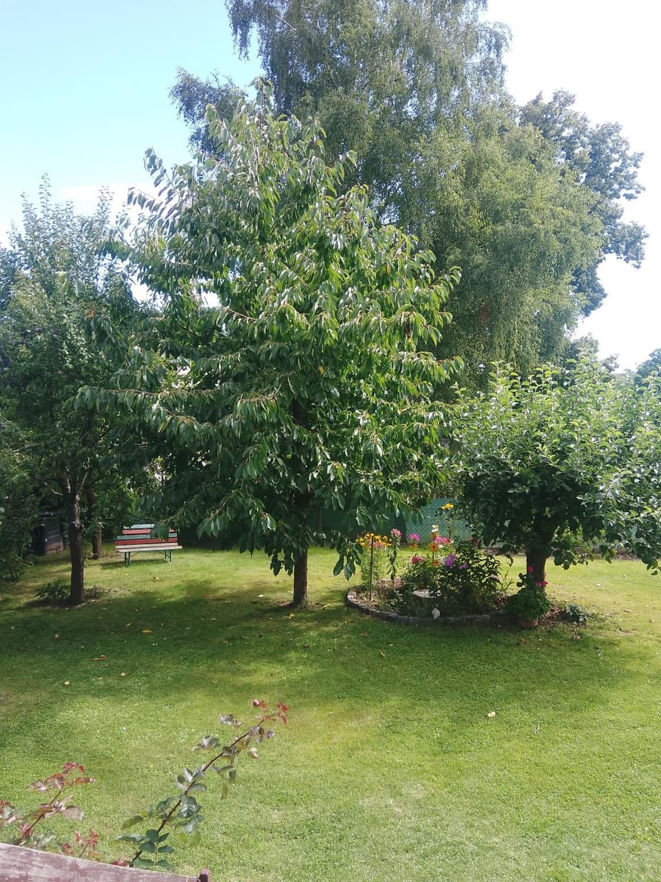 Little house Apartment in South Bohemian Region