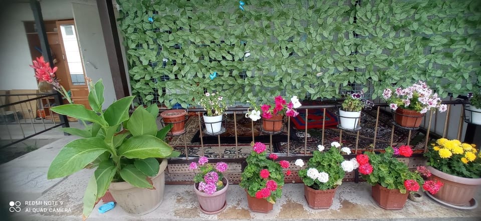 Gulzina Guest House Bed and Breakfast in Europe