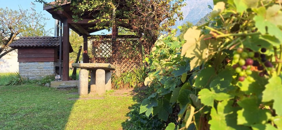Garden, Garden view