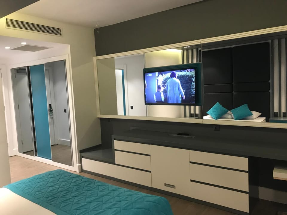 TV and multimedia