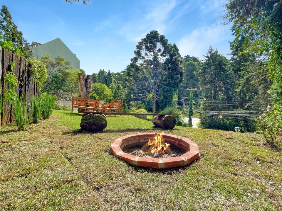 Day, Natural landscape, Garden
