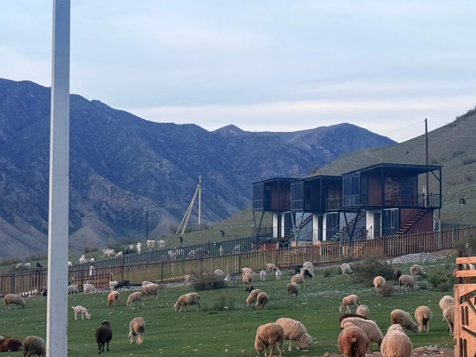 Opensky-kolsay Bed and Breakfast in Almaty Region, Kazakhstan