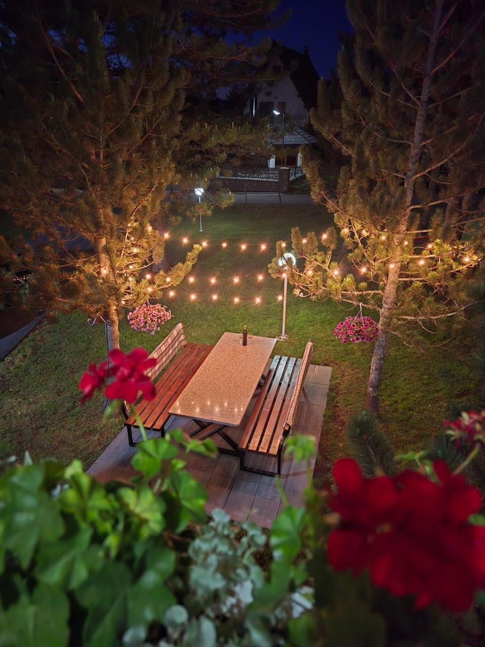 Night, Garden, Garden view