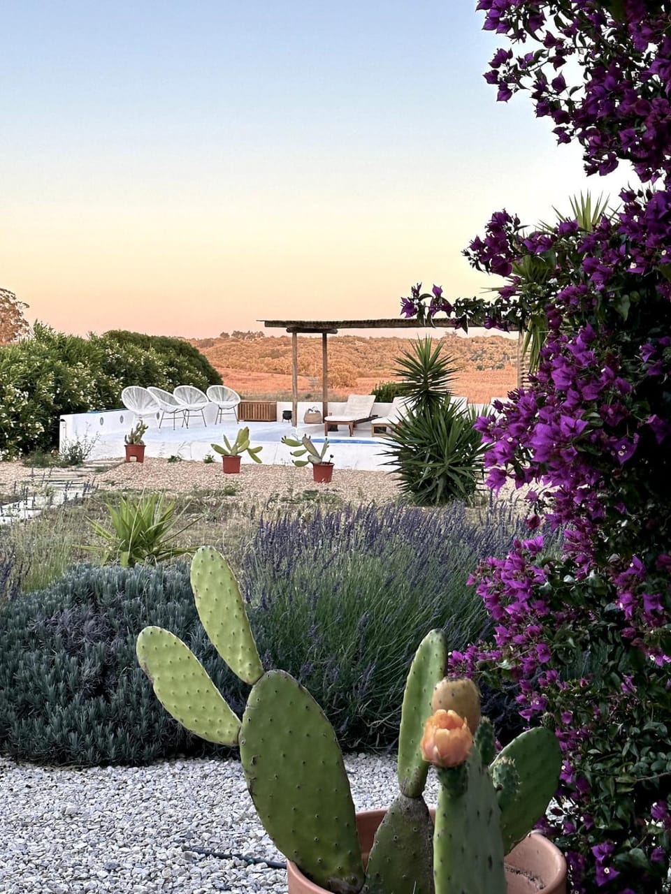 Natural landscape, Garden view