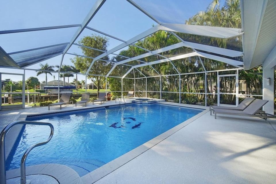 Pool view, Swimming pool, sunbed