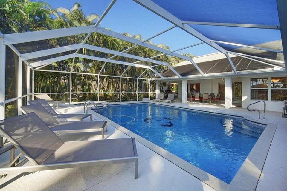 Patio, Pool view, Swimming pool, sunbed