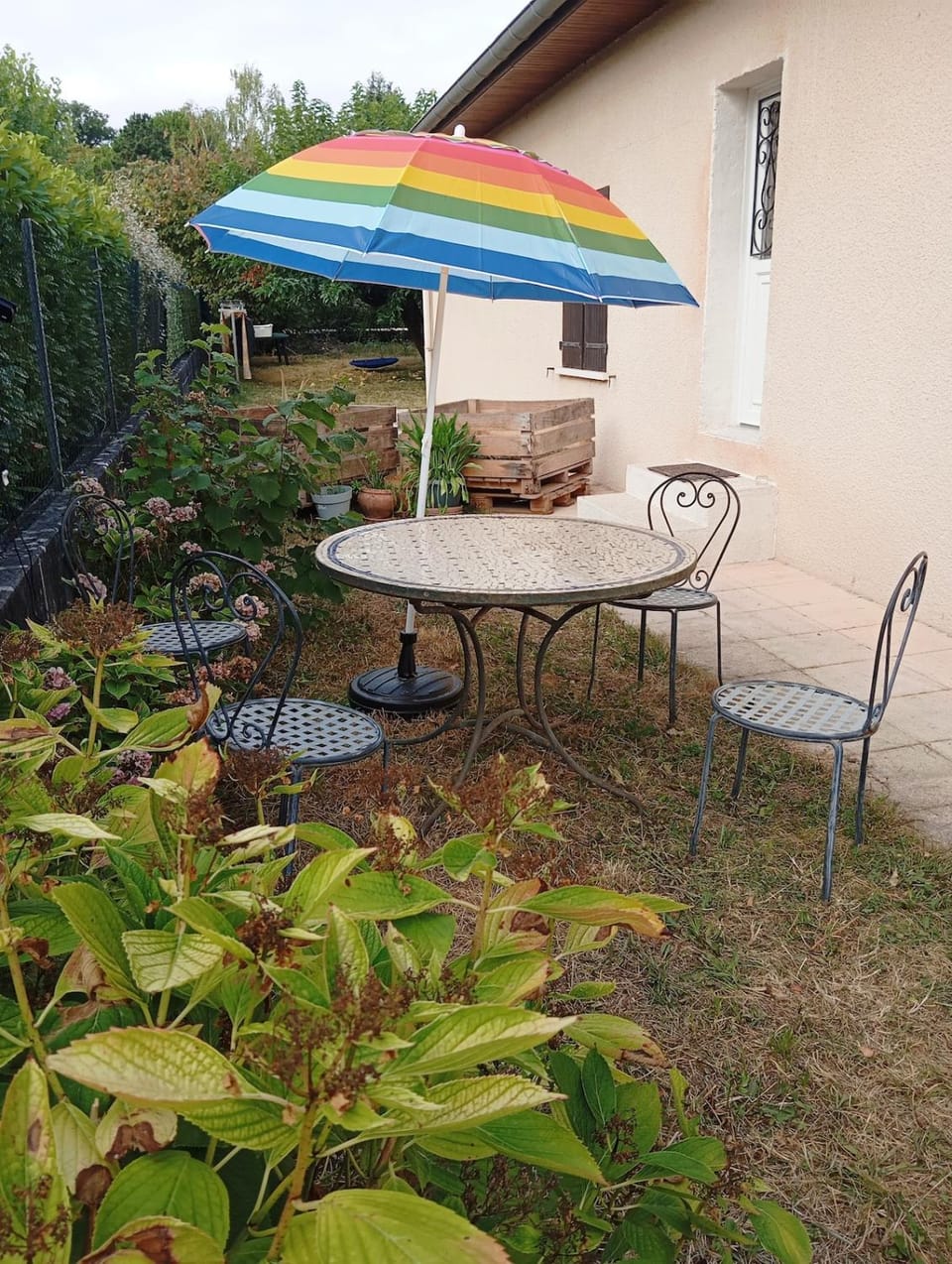Garden