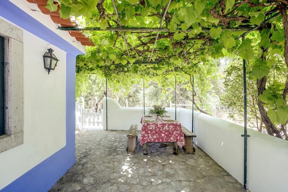 Casa do Monte Villa in Setubal District