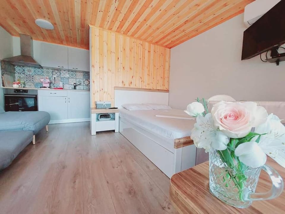Bed, TV and multimedia, Coffee/tea facilities, View (from property/room), Kitchen or kitchenette, Photo of the whole room, Bedroom, internet, oven, stove