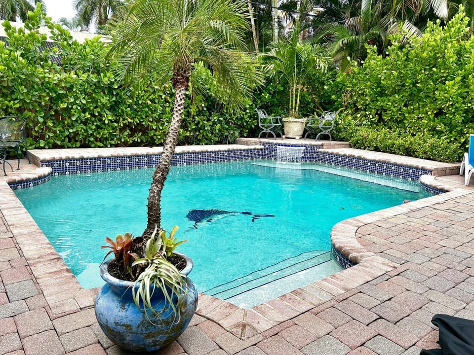 Spring, Day, Garden view, Pool view, Swimming pool, Swimming pool