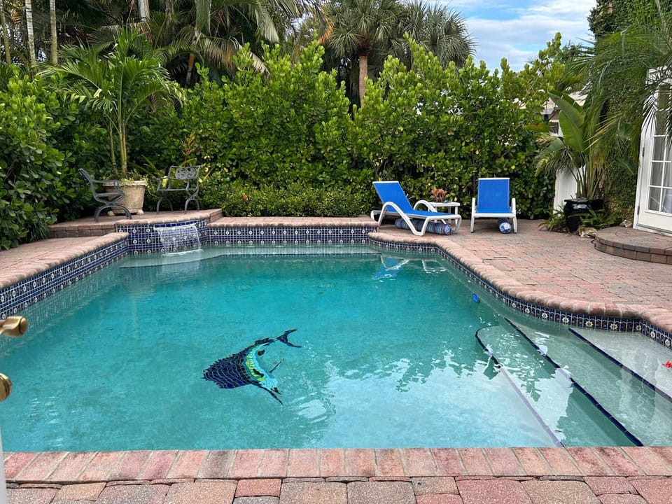 Patio, Spring, Day, Natural landscape, Garden view, Pool view, Swimming pool, sunbed