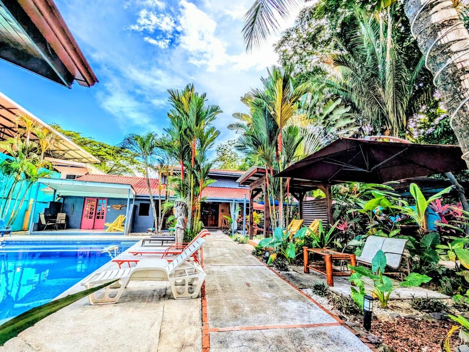 Property building, Patio, Day, Garden, Garden view, Pool view, Swimming pool, sunbed