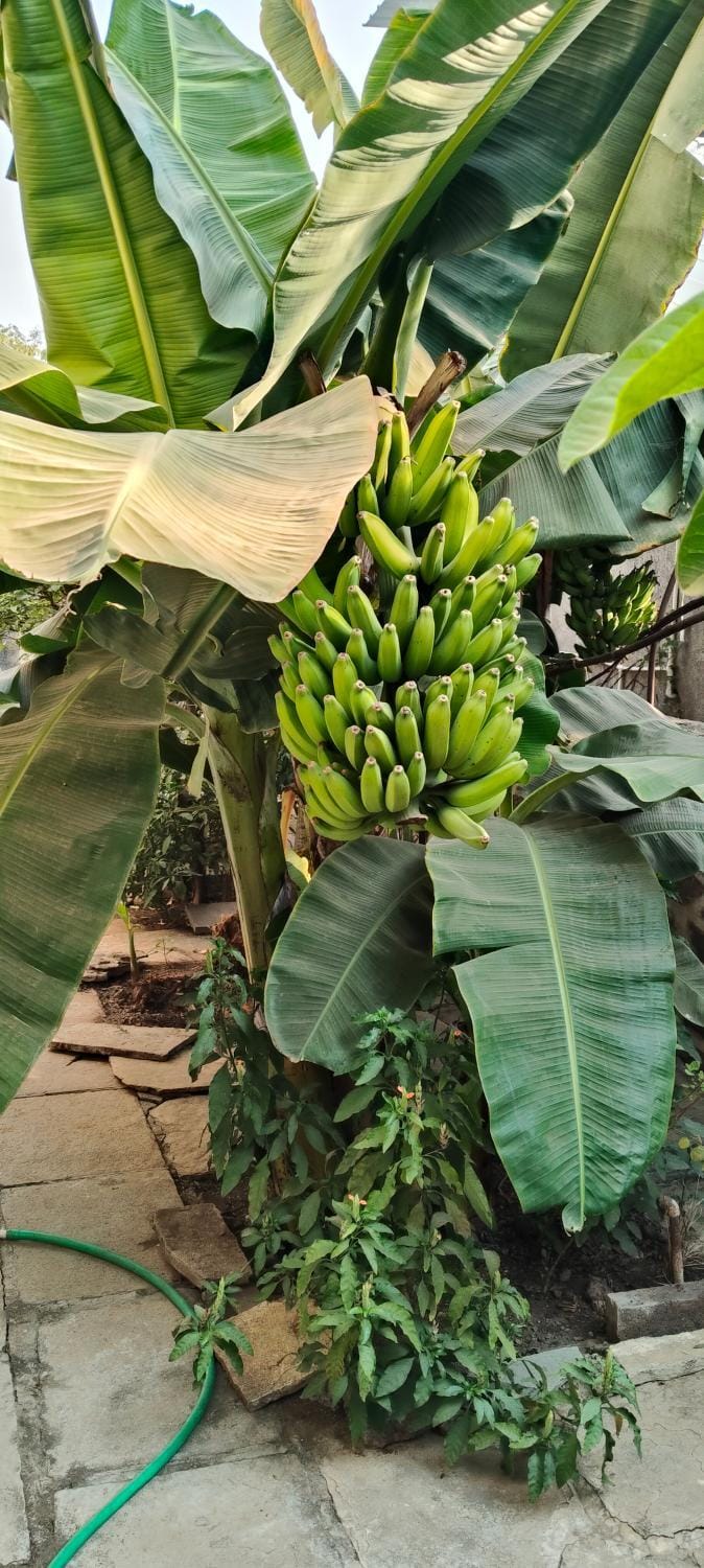 Gurukrupa Homestay, Pandharpur Vacation rental in Maharashtra