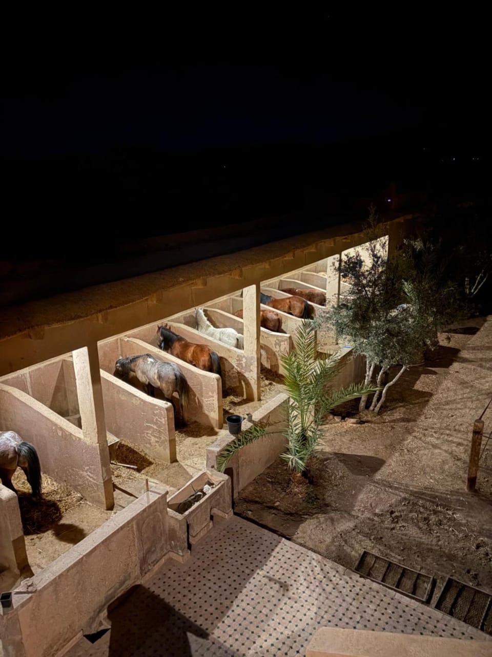 Patio, Night, Balcony/Terrace, Seating area