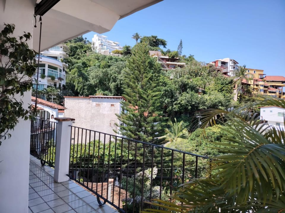 Patio, View (from property/room), Balcony/Terrace, Garden view