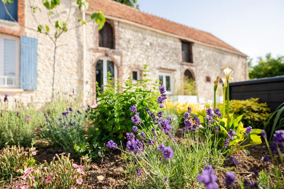 Property building, Garden, Garden view